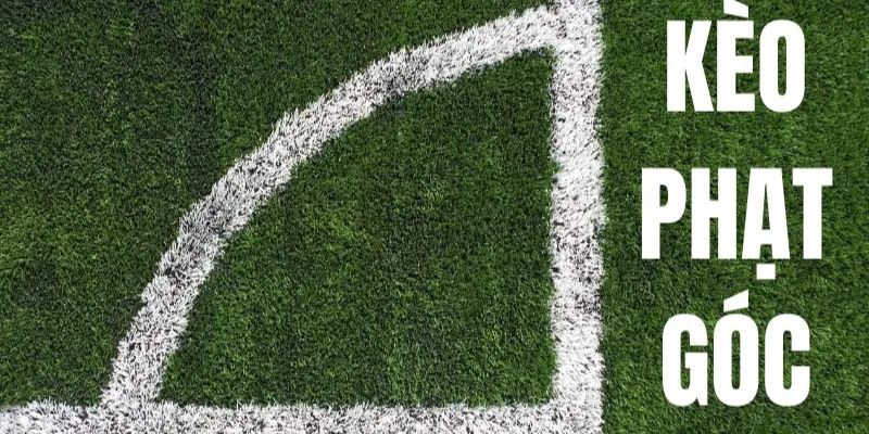 Đa dạng các lựa chọn thú vị